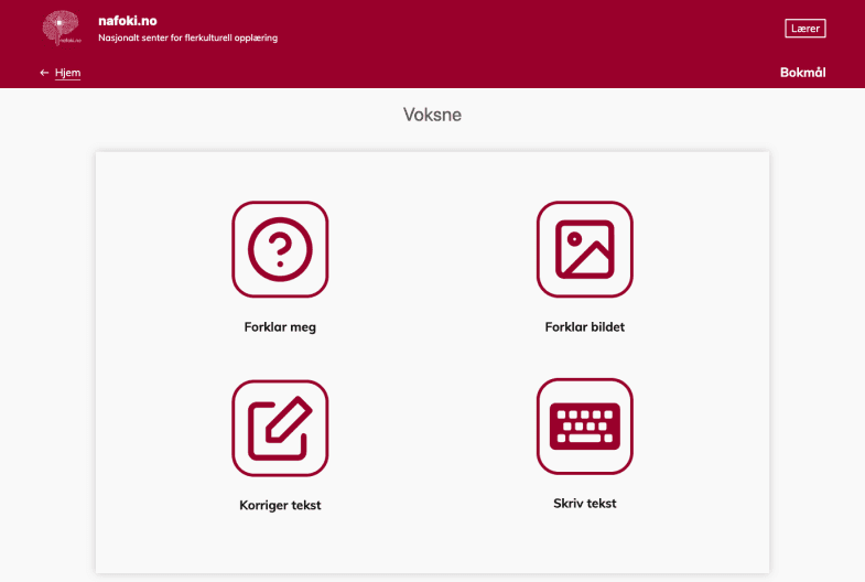 Skjermbilde av nafoki, viser funksjonene Forklar meg, forklar bildet, korriger tekst, skriv tekst.